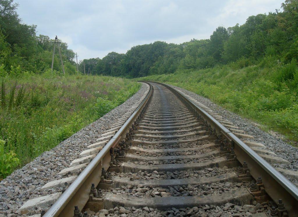 Вербка з panoramio.com - Вербка