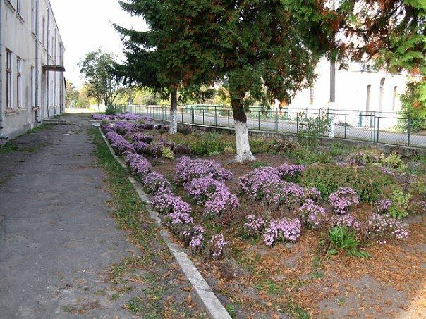 Андріївка з panoramio.com - Андріївка