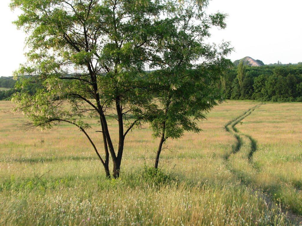 Єнакієве з panoramio.com (ч.3) - Енакиево