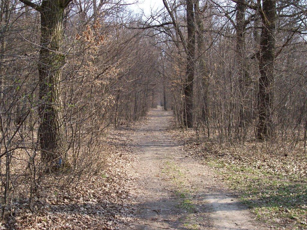 Пултівці з panoramio.com - Пултівці