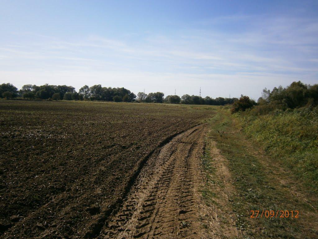 Берездівці з panoramio.com - Берездовцы