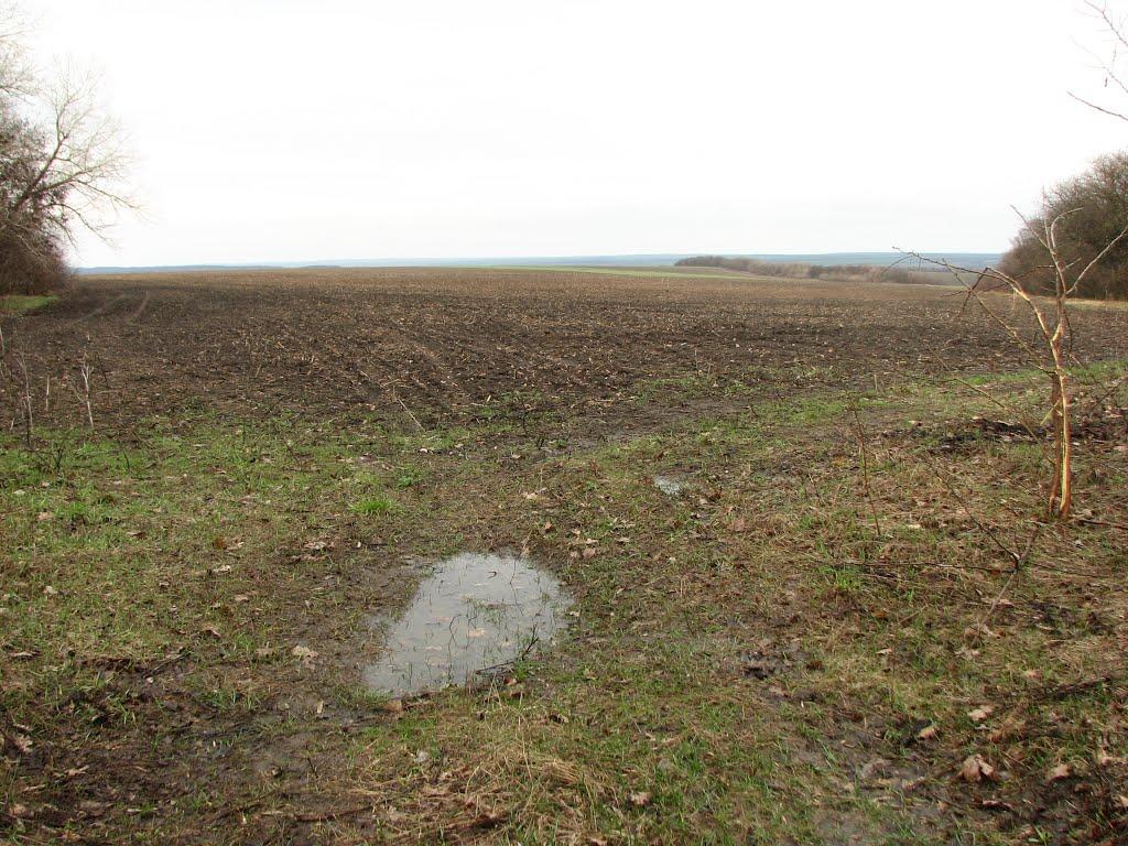 Литвинівка з panoramio.com - Литвинівка