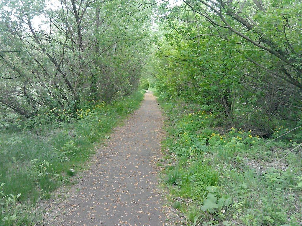 Джурин з panoramio.com - Джурин