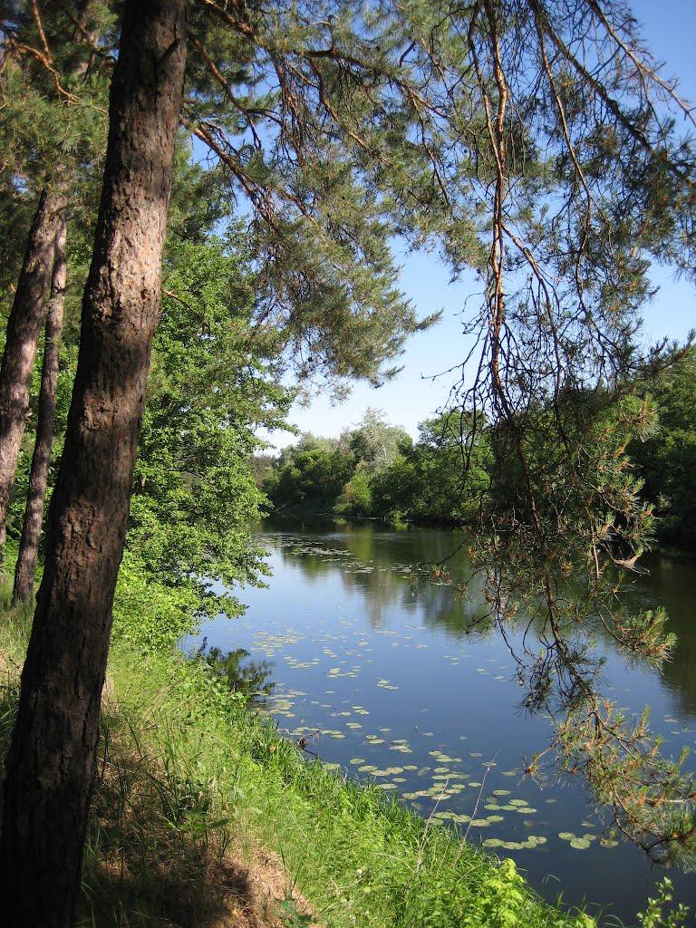 Курган з panoramio.com - Курган