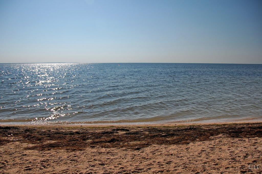 Чернігівка з panoramio.com - Черниговка
