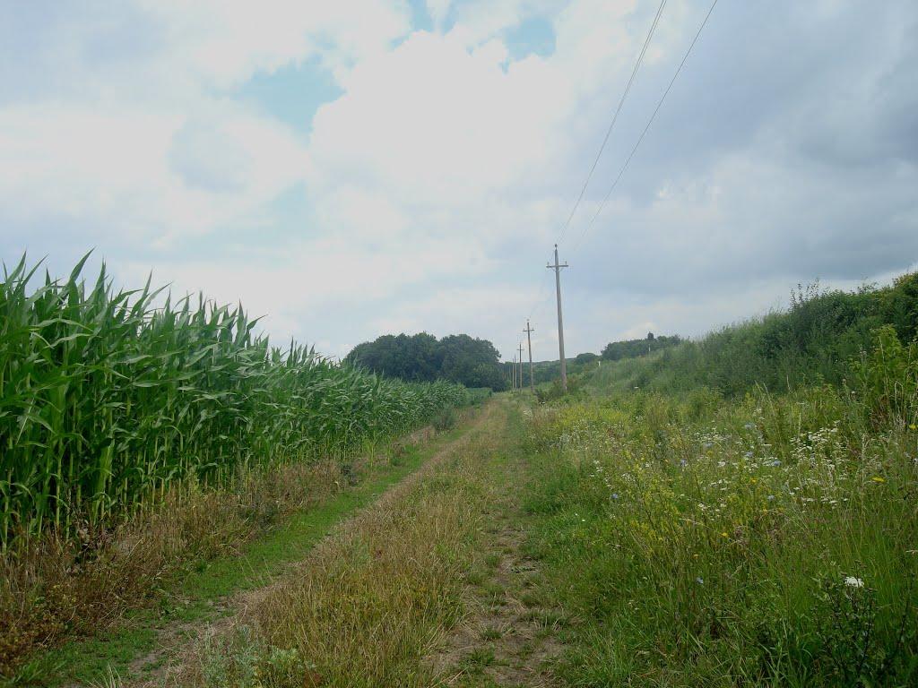 Вербка з panoramio.com - Вербка