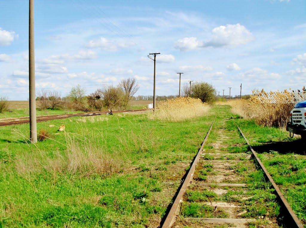 Гудзівка з panoramio.com - Гудзовка
