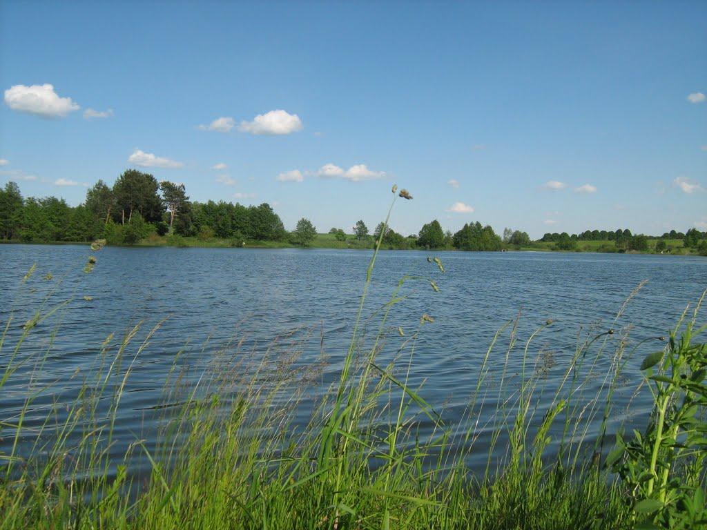 Піддубці з panoramio.com - Піддубці