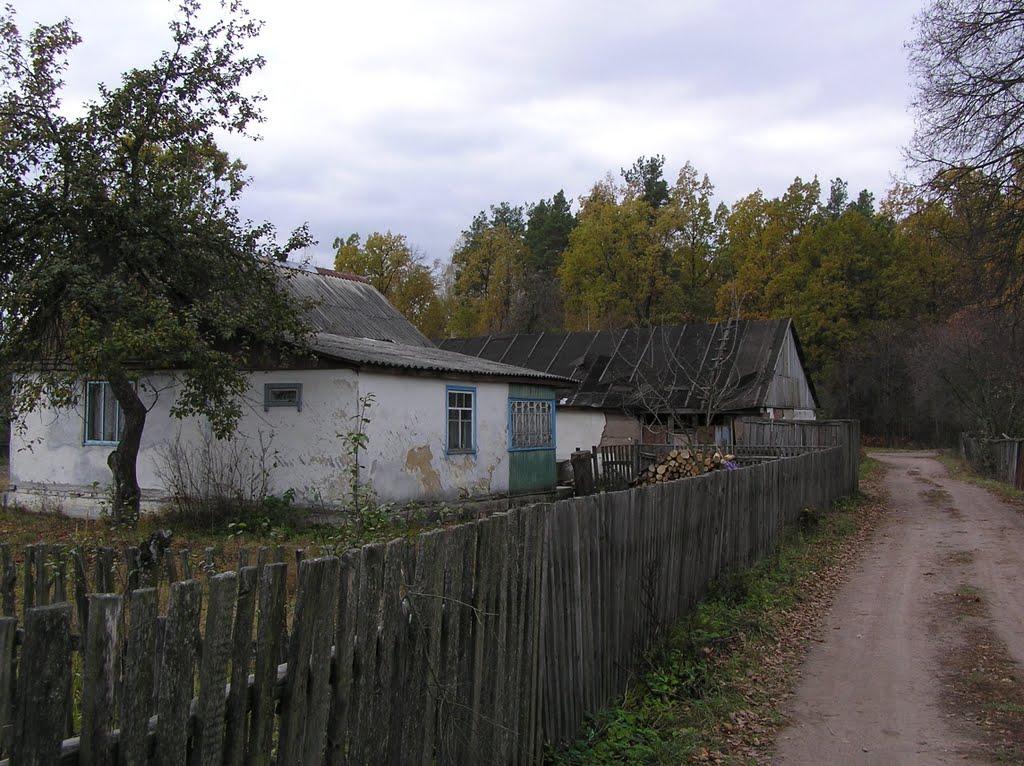 Горщик з panoramio.com - Горщик