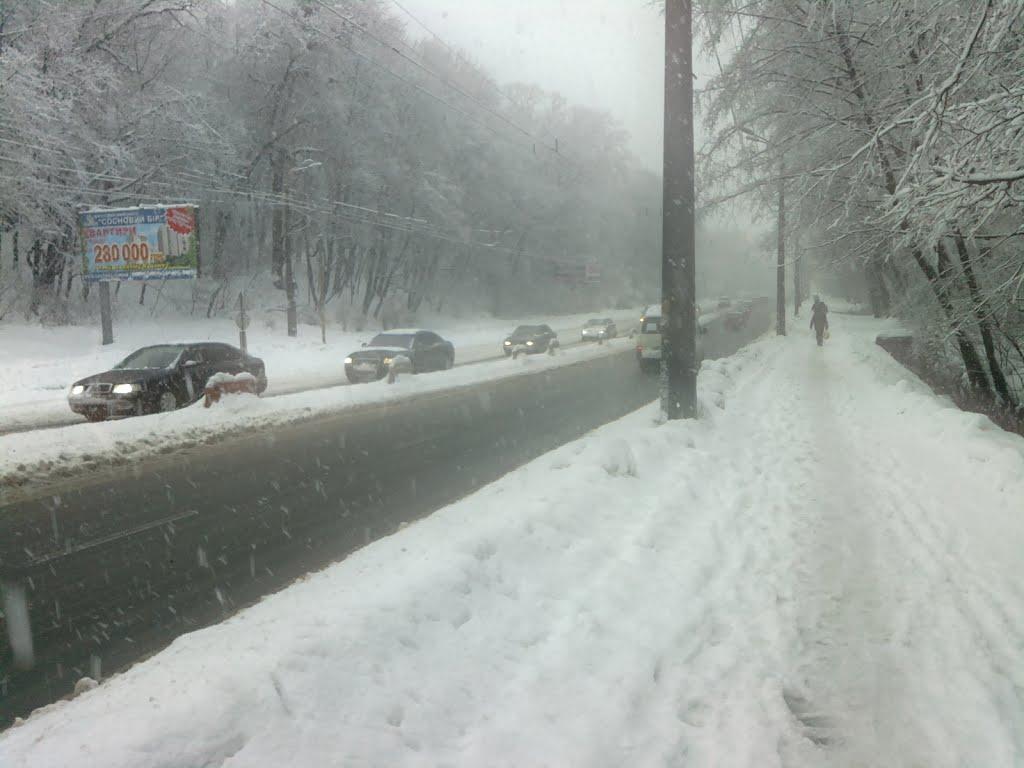 Софіївська Борщагівка з panoramio.com (ч.2) - Софиевская Борщаговка