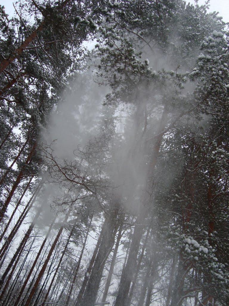 Судилків з panoramio.com - Судилков