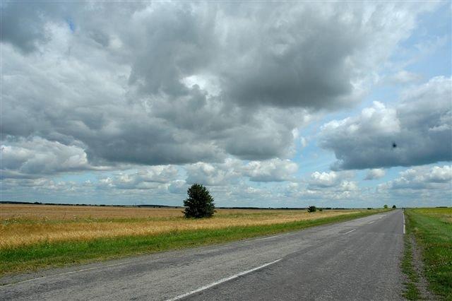 Павлів з panoramio.com - Павлів