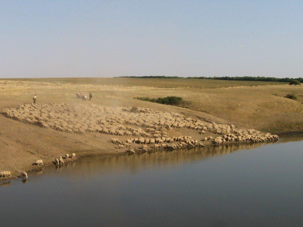 Зимівники з panoramio.com - Зимівники