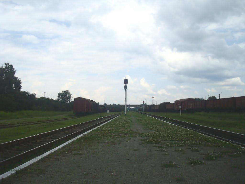 Шепетівка з panoramio.com (ч.2) - Шепетовка