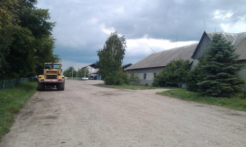 Темногайці з panoramio.com - Темногайці