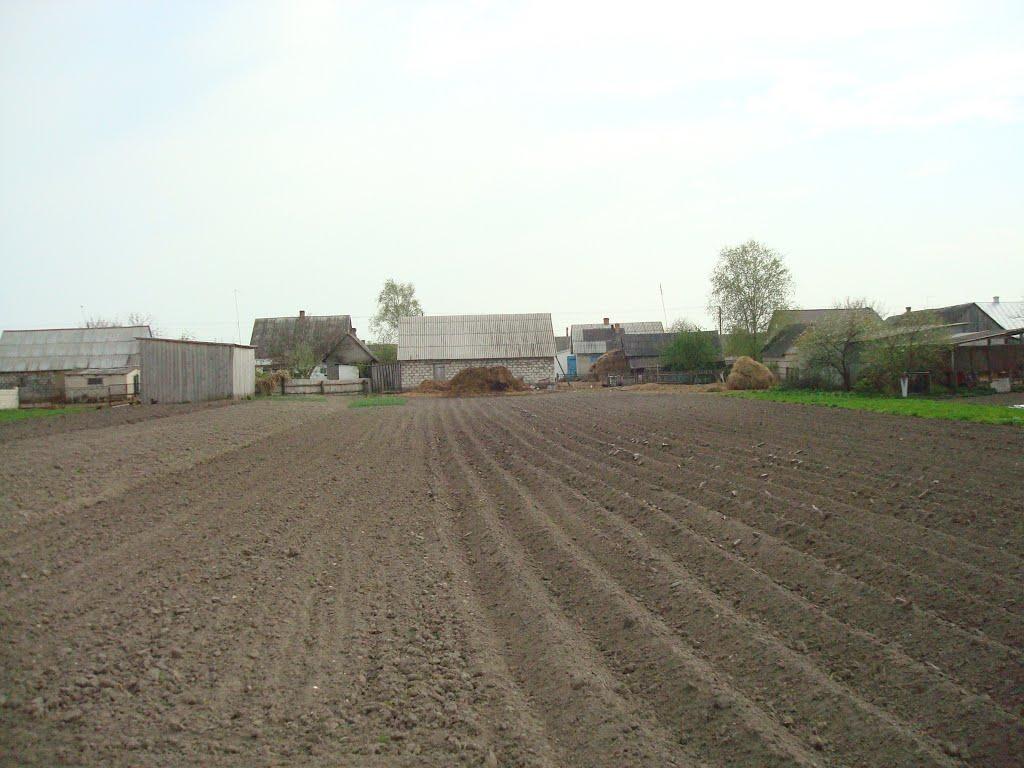 Дроздні з panoramio.com - Дроздні