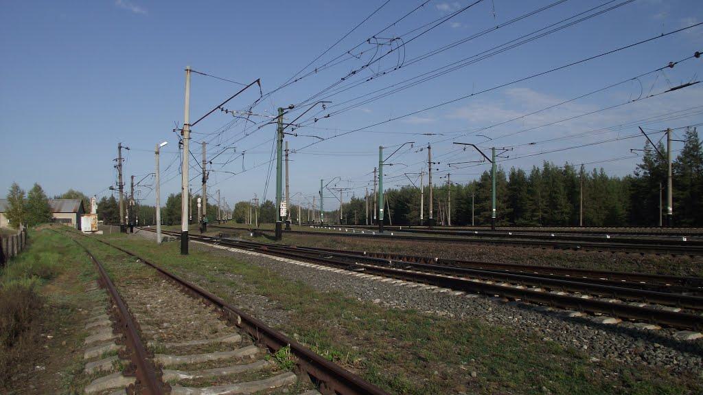 Святогірськ з panoramio.com - Святогорск