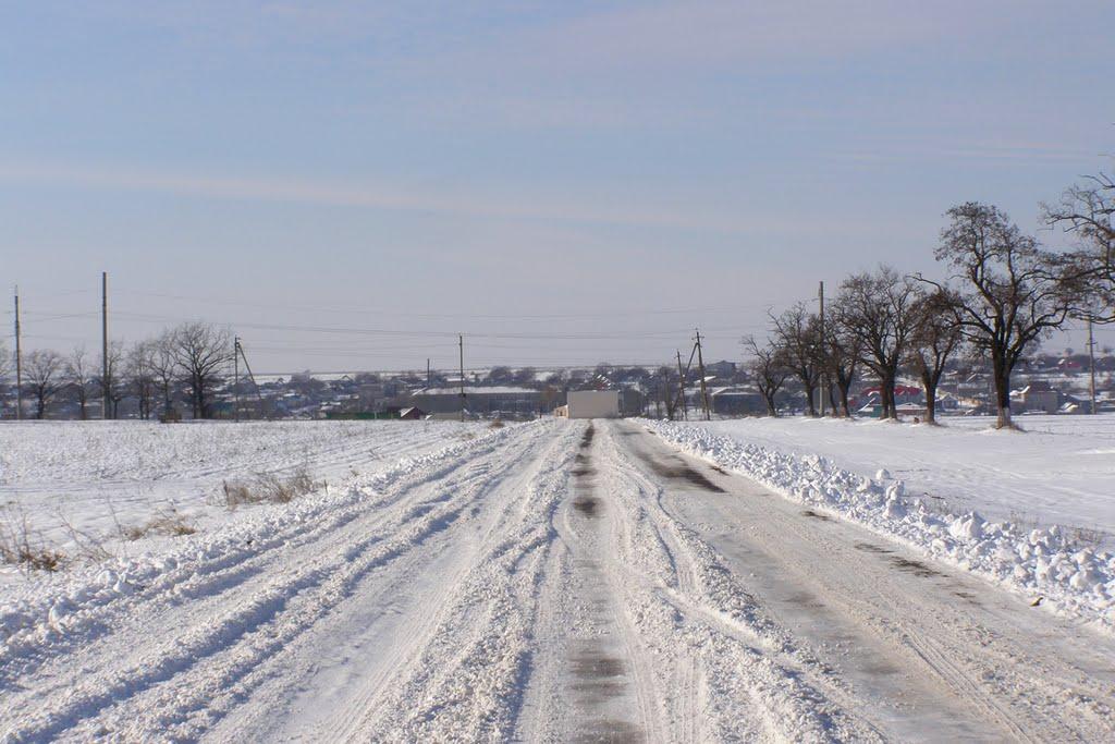 Августівка з panoramio.com - Августівка