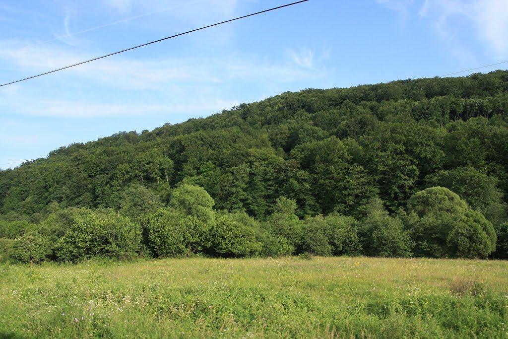 Верхні Ворота з panoramio.com - Верхні Ворота