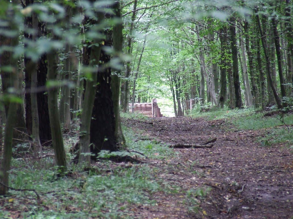 Гумниська з panoramio.com - Gumnyska