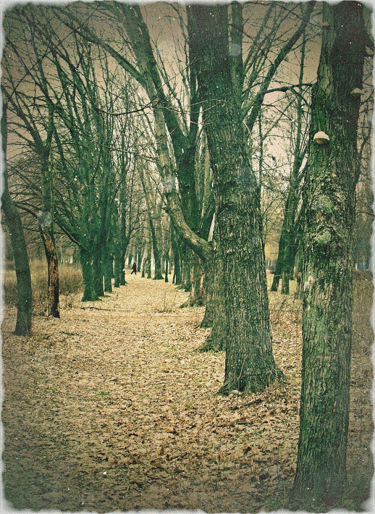 Вільногірськ з panoramio.com - Вільногірськ