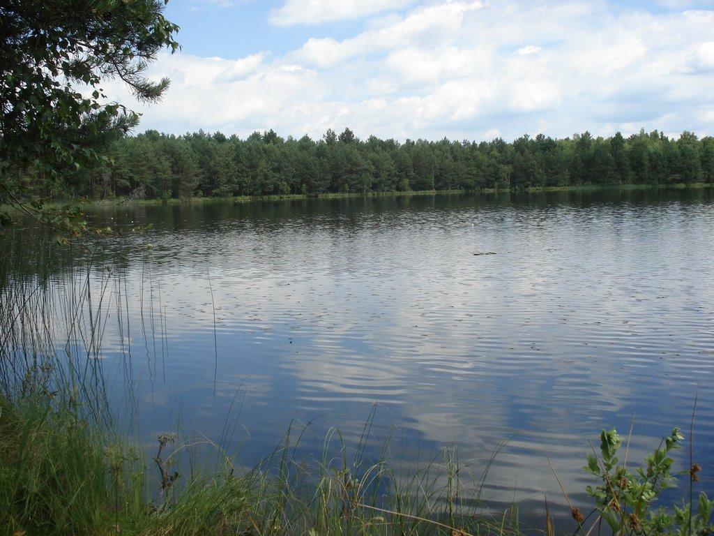 Ниговищі з panoramio.com - Ниговищі