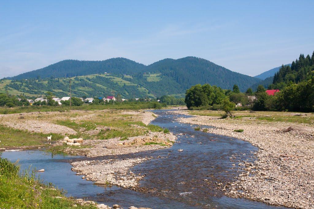 Сойми з panoramio.com - Сойми