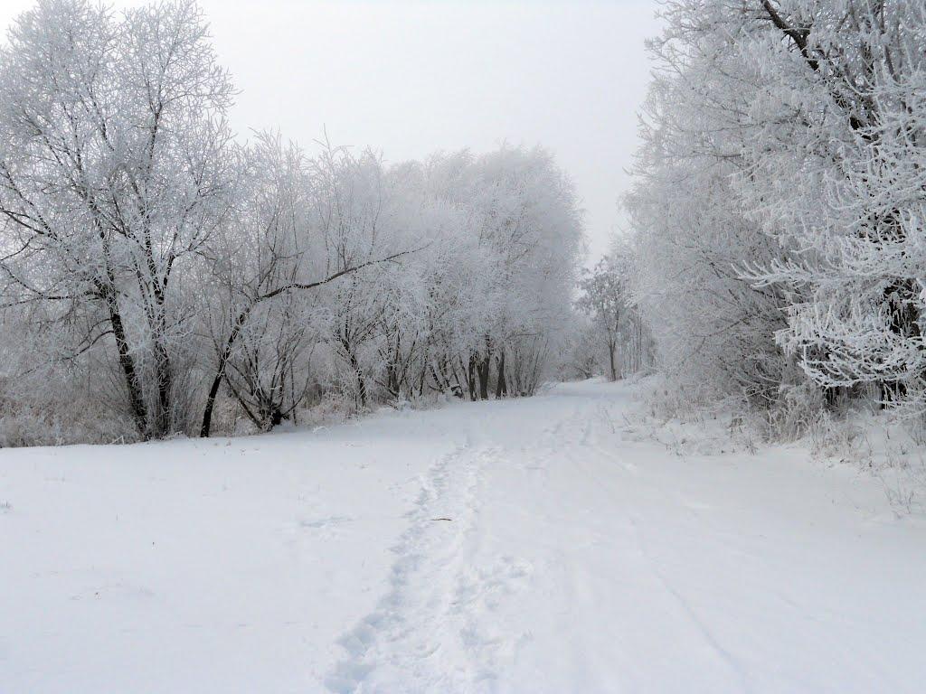 Вільшане з panoramio.com - Ольшаное