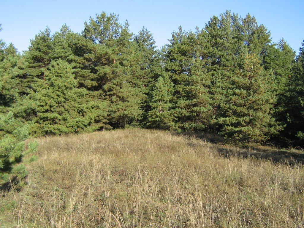 Пришиб з panoramio.com - Пришиб