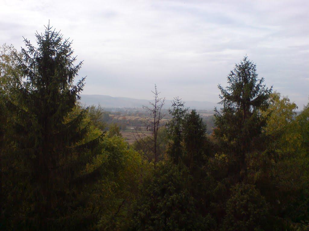 Дережичі з panoramio.com - Дережичі