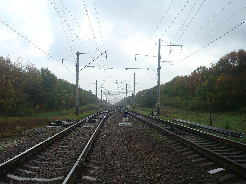 Грузевиця з panoramio.com - Грузевица