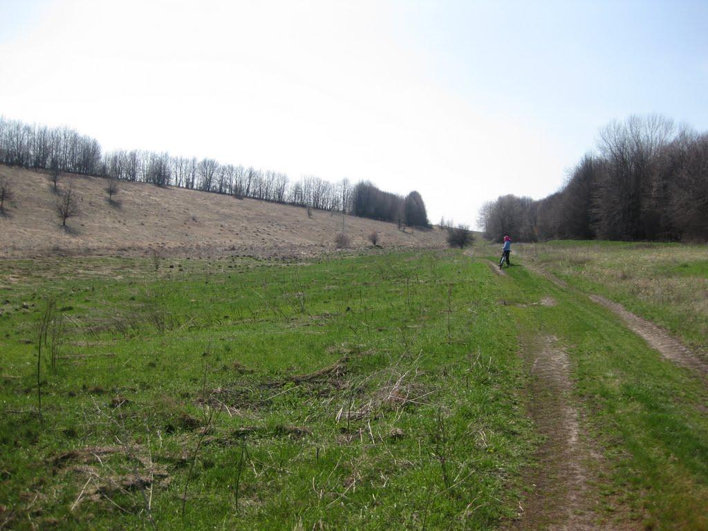 М'якеньківка з panoramio.com - Мякеньковка
