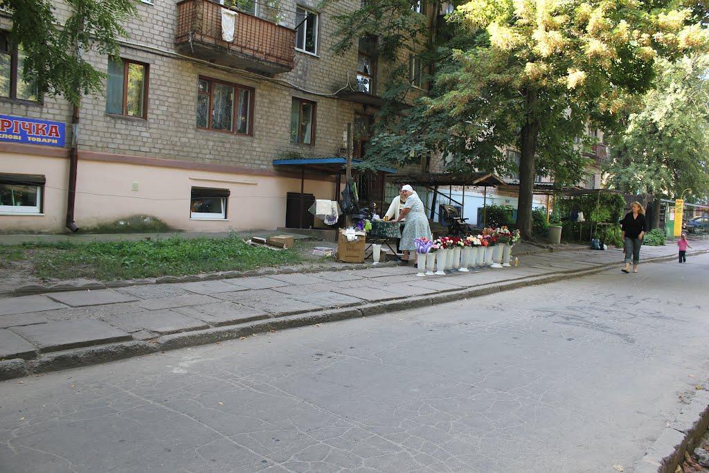 Дніпровське з panoramio.com - Днепровское