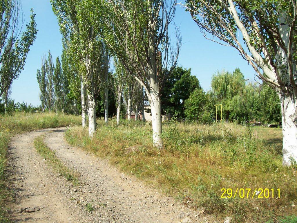 Миколаївка з panoramio.com (ч.2) - Николаевка