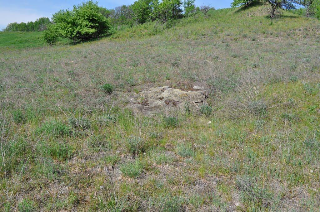 Гавронці з panoramio.com - Гавронці