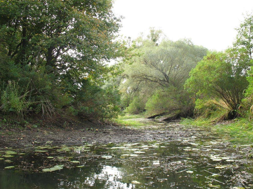 Хрещатик з panoramio.com - Крещатик