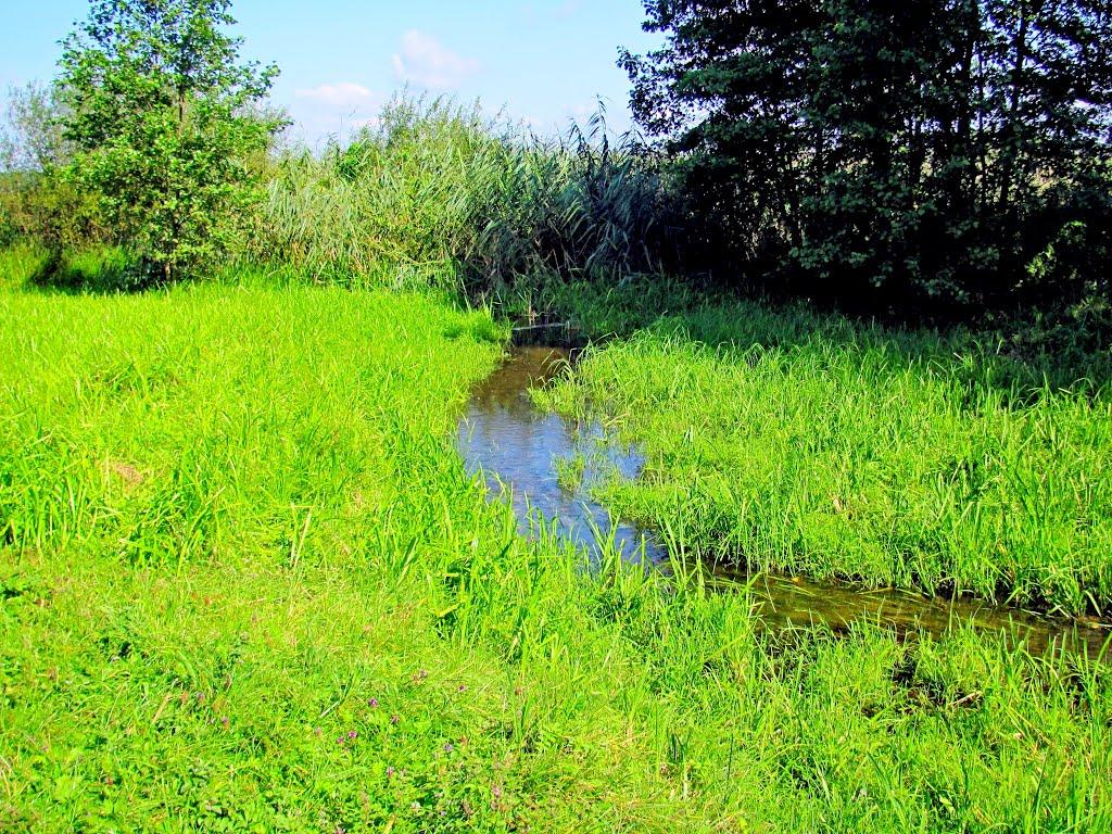 Четвертня з panoramio.com - Четвертня