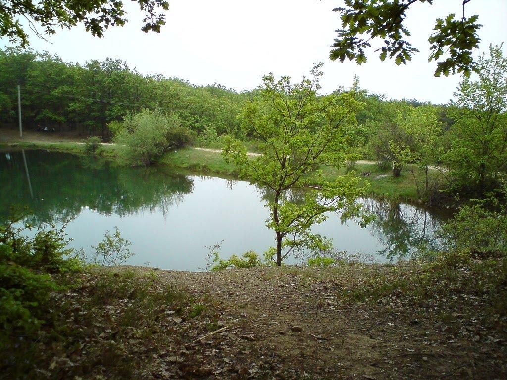 Підгородне з panoramio.com - Підгородне