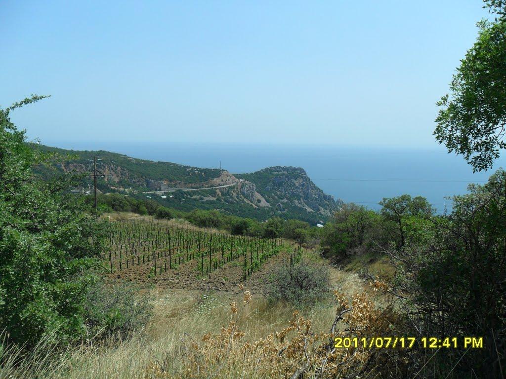 Голуба Затока з panoramio.com (ч.2) - Голубая Затока