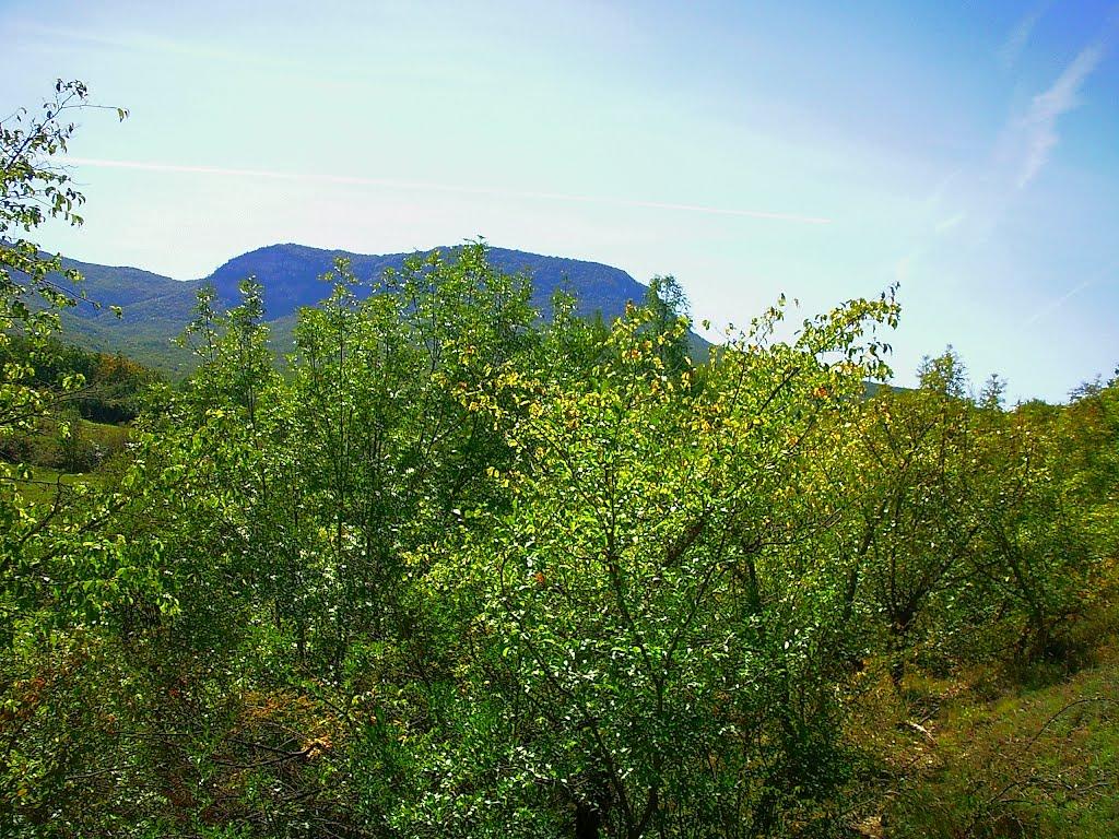 Нагірне з panoramio.com - Нагорное