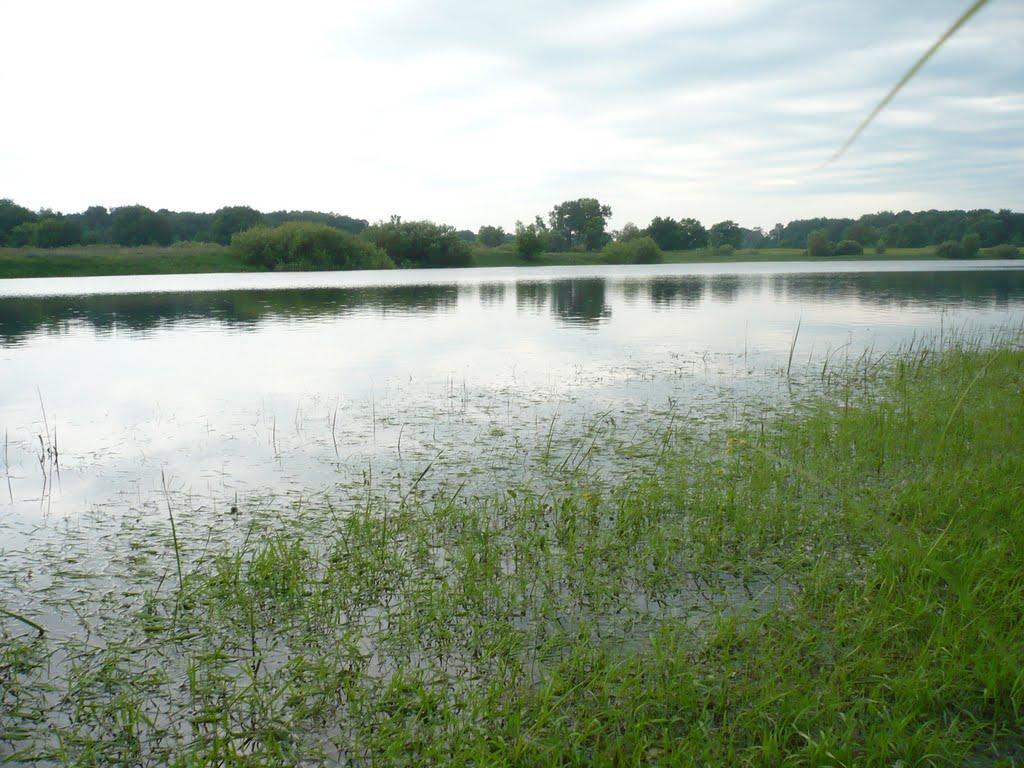 Максаки з panoramio.com - Максаки