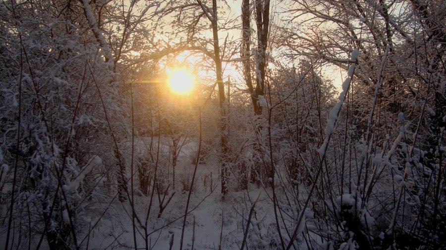 Гвардійське з panoramio.com - Gvardiyske
