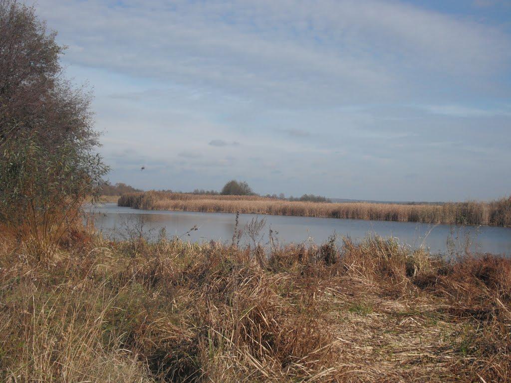 Любитове з panoramio.com - Любитово