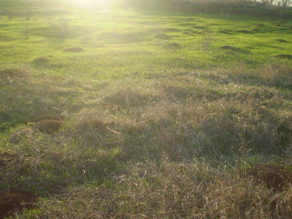 Мішково-Погорілове з panoramio.com - Мішково-Погорілове