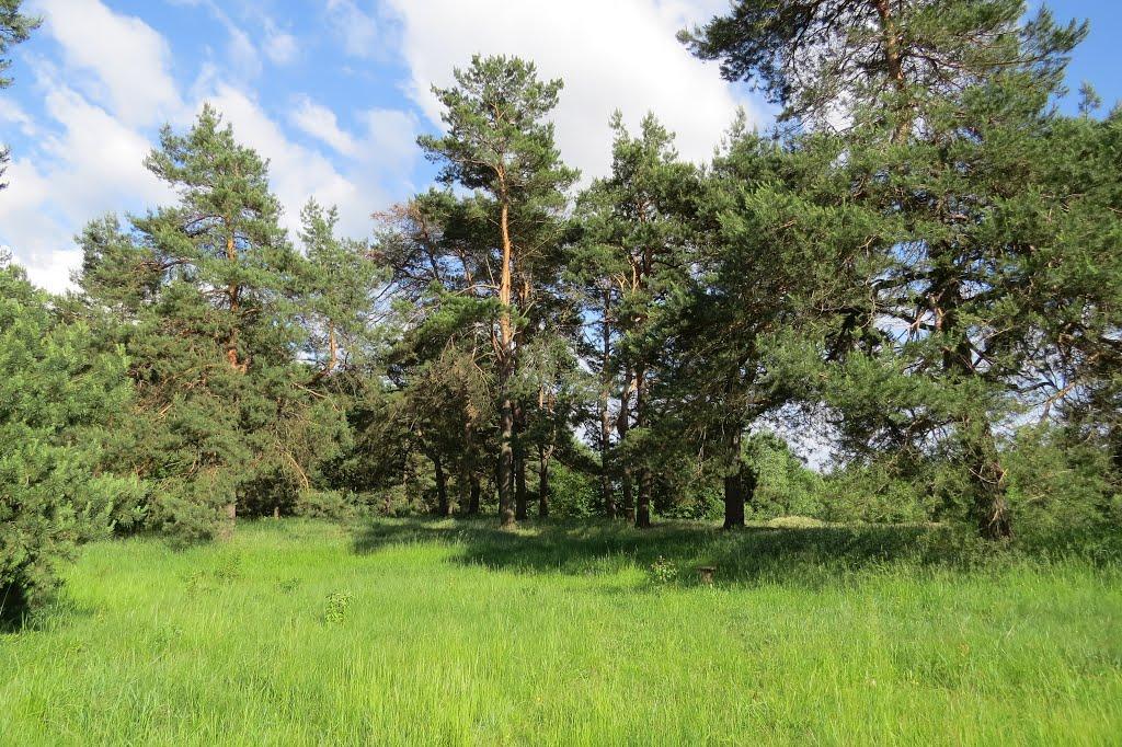 Софіївка з panoramio.com - Софиевка