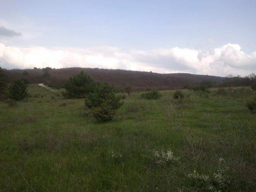 Багата Ущелина з panoramio.com - Багата Ущелина
