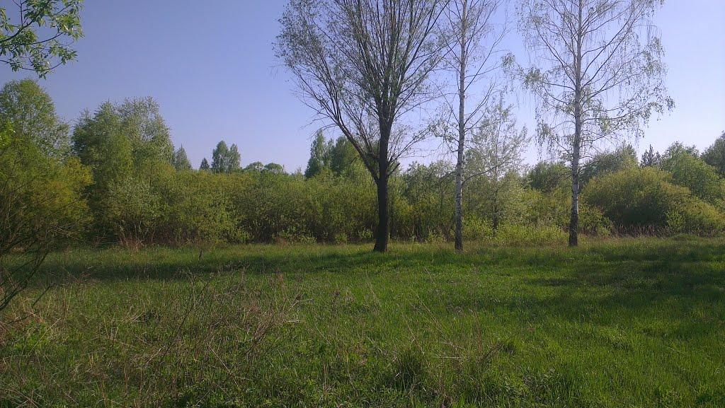 Слоут з panoramio.com - Слоут