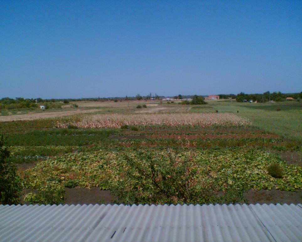 Малинівка з panoramio.com - Малинівка