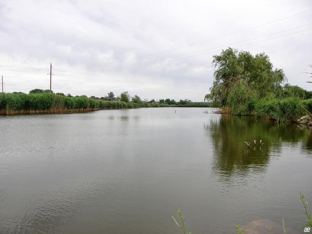 Єлисеївка з panoramio.com - Єлисеївка