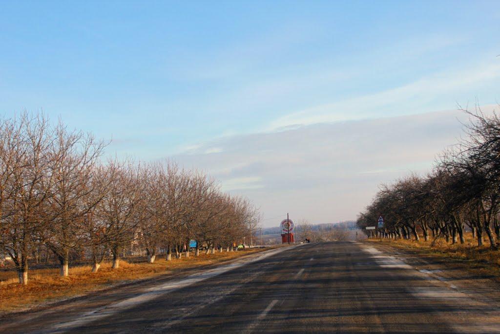 Шляхова з panoramio.com - Шляхова